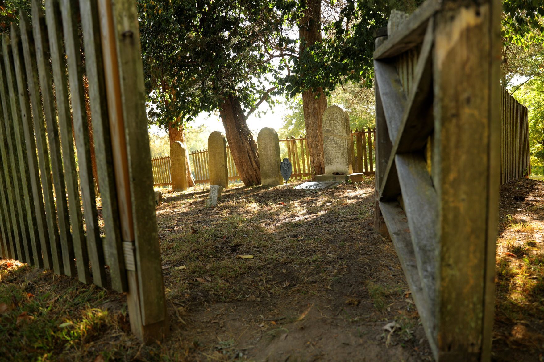 Cemetery in Faust Park